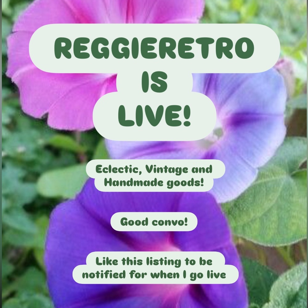REGGIERETRO IS LIVE NOW! Stop by :) LIVE SHOW FLYER - Picture 4 of 16